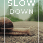 snail showing to slow down to increase your test score