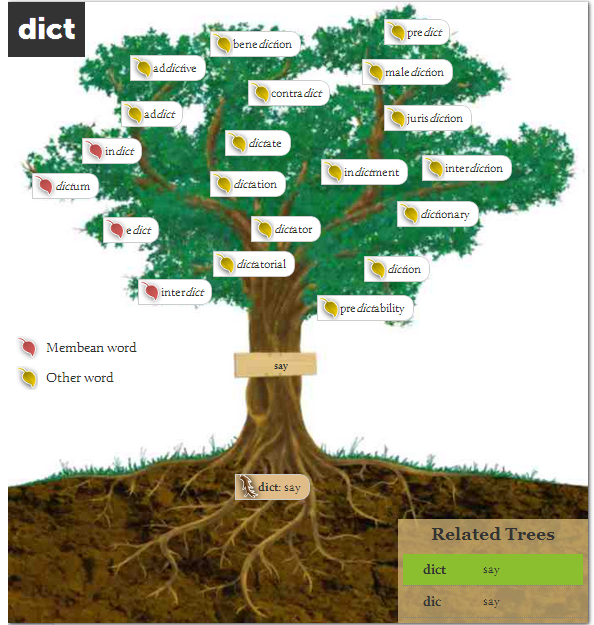 Membean root tree