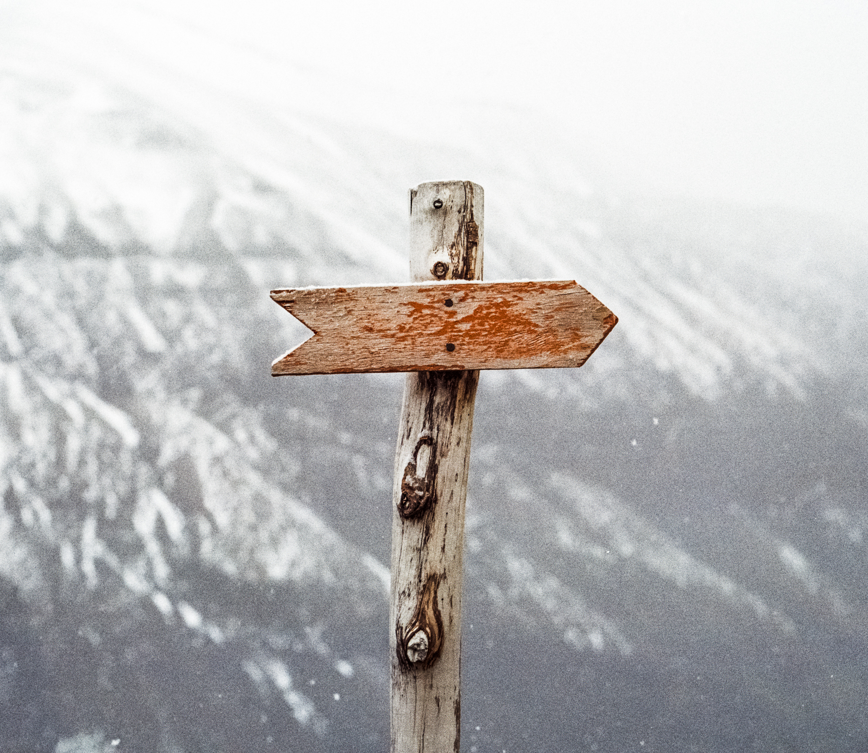 blank signpost