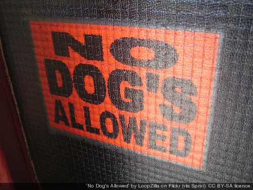 no dogs allowed