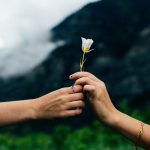 Fractional exponents and flowers thumbnail