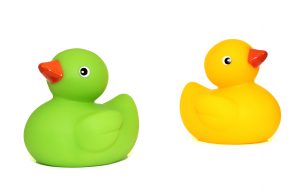 two ducks to illustrate SAT vs ACT