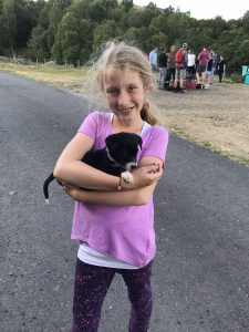 child holding a border collie puppy