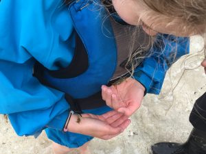 child holding baby crabs